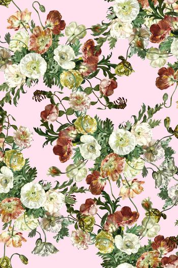 551050-手绘 罂粟花 写实油画 