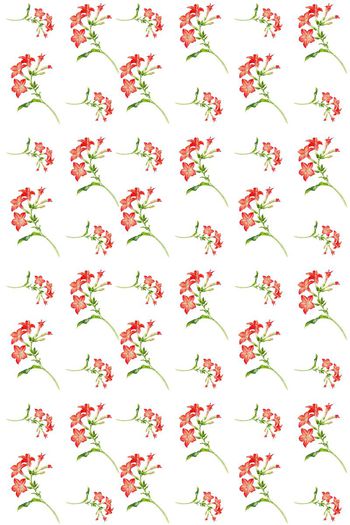 欧美流行复古印花华亿平台图片