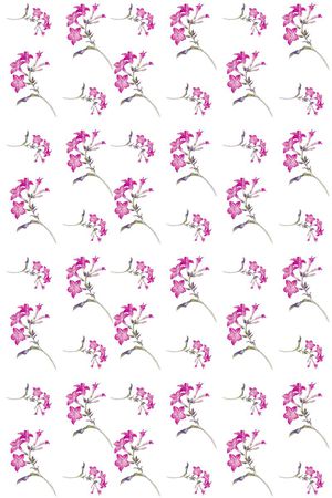 欧美流行复古印花华亿平台图片