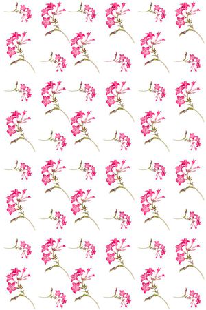 欧美流行复古印花华亿平台图片