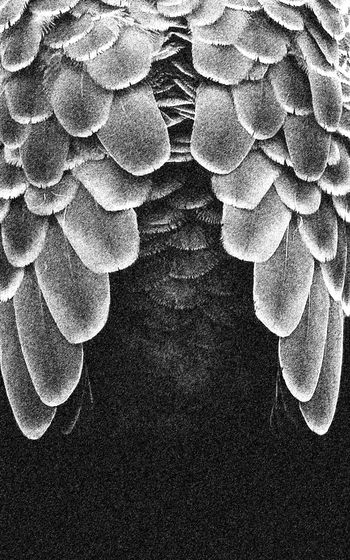 独幅定位T恤印花图案印花华亿平台图片