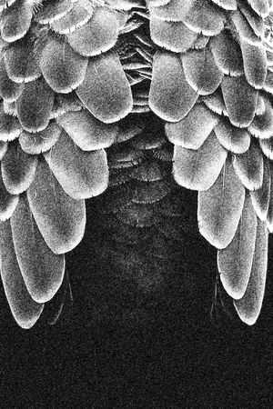 独幅定位T恤印花图案印花华亿平台图片