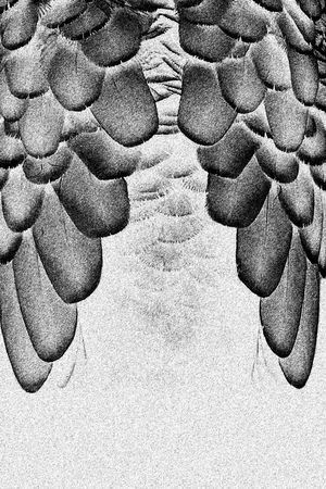 独幅定位T恤印花图案印花华亿平台图片