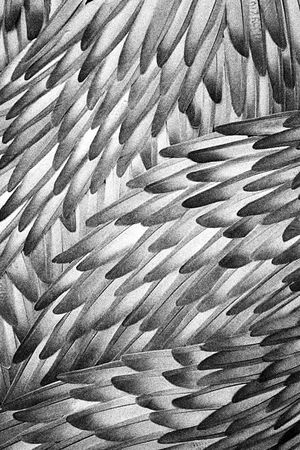 独幅定位T恤印花图案印花华亿平台图片