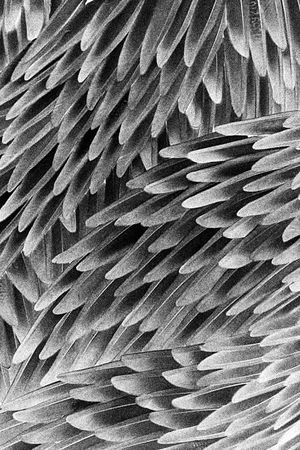 黑白酷感暗黑印花华亿平台图片