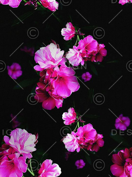 黑暗印花华亿平台图片