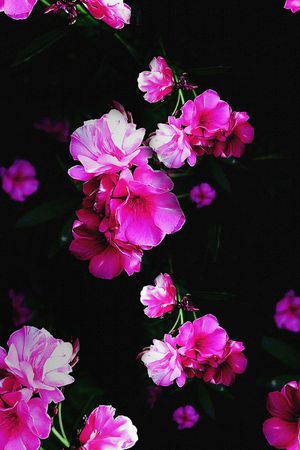 黑暗印花华亿平台图片