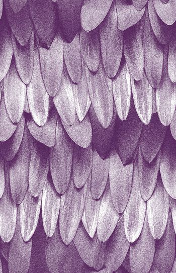 551373-时尚潮流 大牌原创 炫丽羽毛质感 