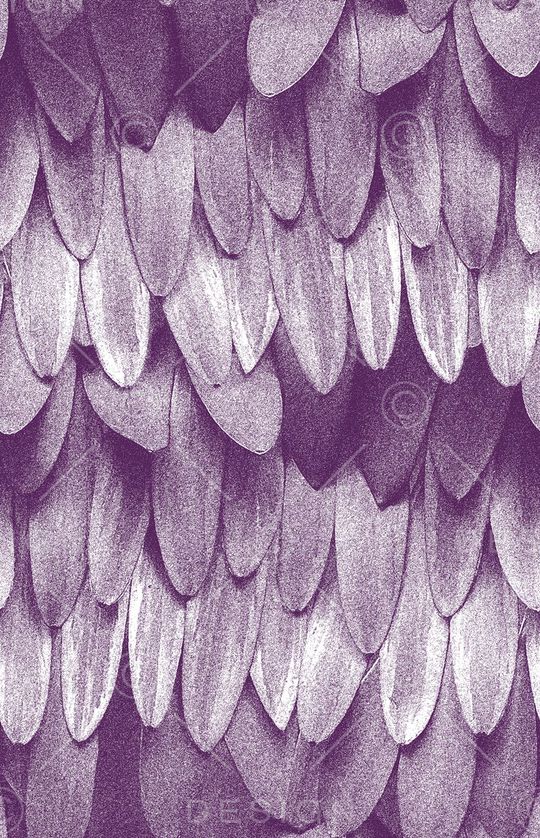 时尚潮流印花华亿平台图片