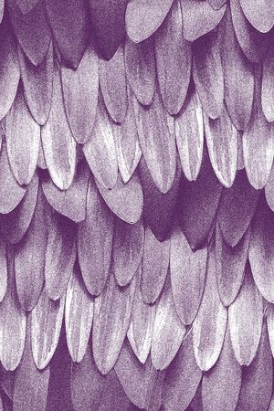 时尚潮流印花华亿平台图片