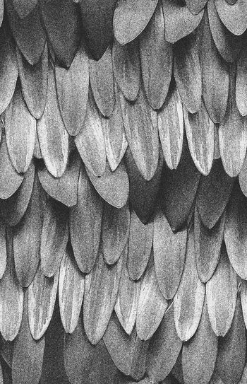 大牌原创印花华亿平台图片