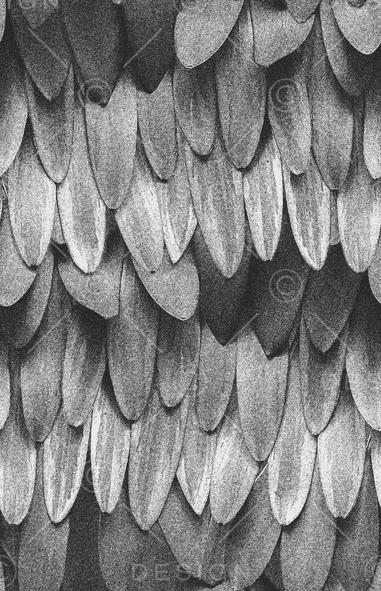 大牌原创印花华亿平台图片