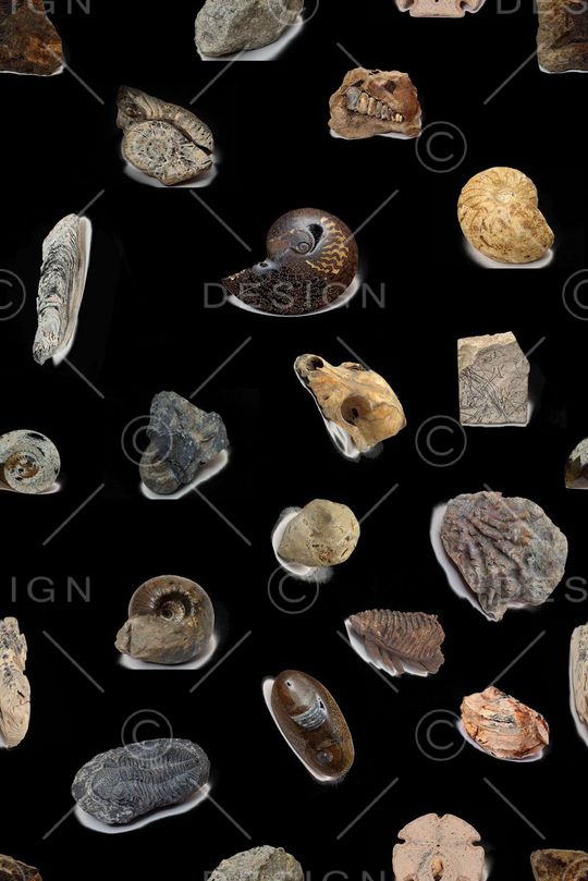 黑底印花华亿平台图片