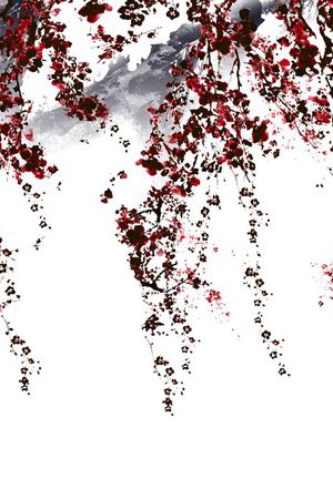 中国风印花华亿平台图片