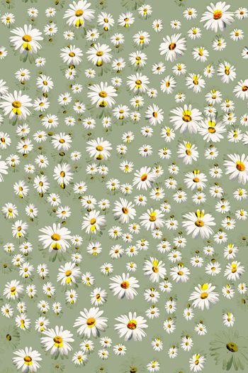 551781-清新浪漫手绘小雏菊