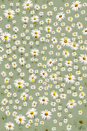 L.D~花卉印花华亿平台图片