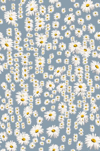 551783-清新浪漫手绘小雏菊