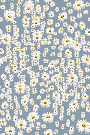 L.D~花卉印花华亿平台图片