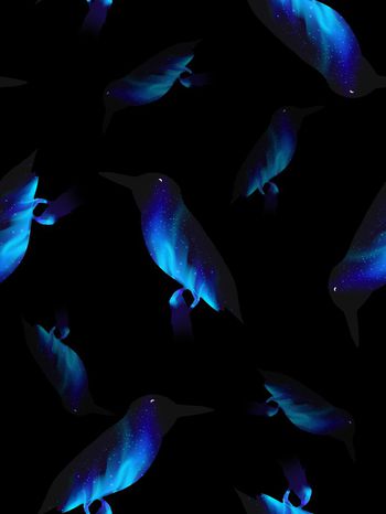 551843-时尚渐变纹理鸟男装羽绒服图案