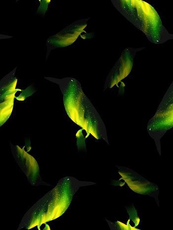 551844-时尚渐变纹理鸟男装羽绒服图案