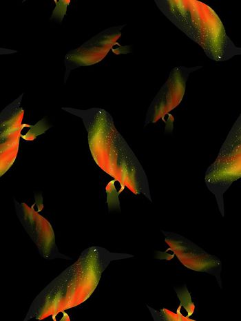 551845-时尚渐变纹理鸟男装羽绒服图案