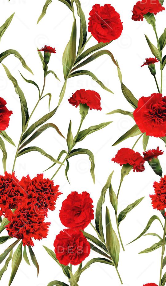 Dolce&Gabbana印花华亿平台图片