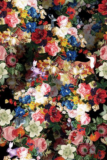 551992-流行时尚油画花卉动物