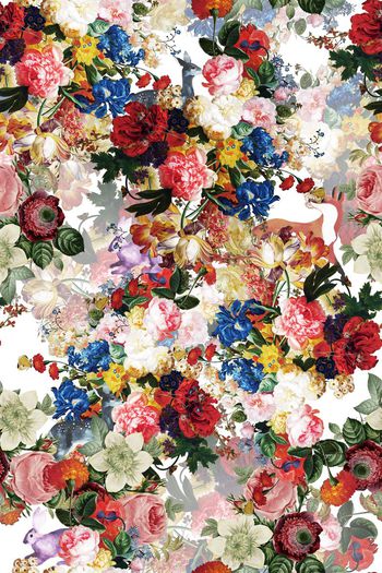 551993-流行时尚油画花卉动物