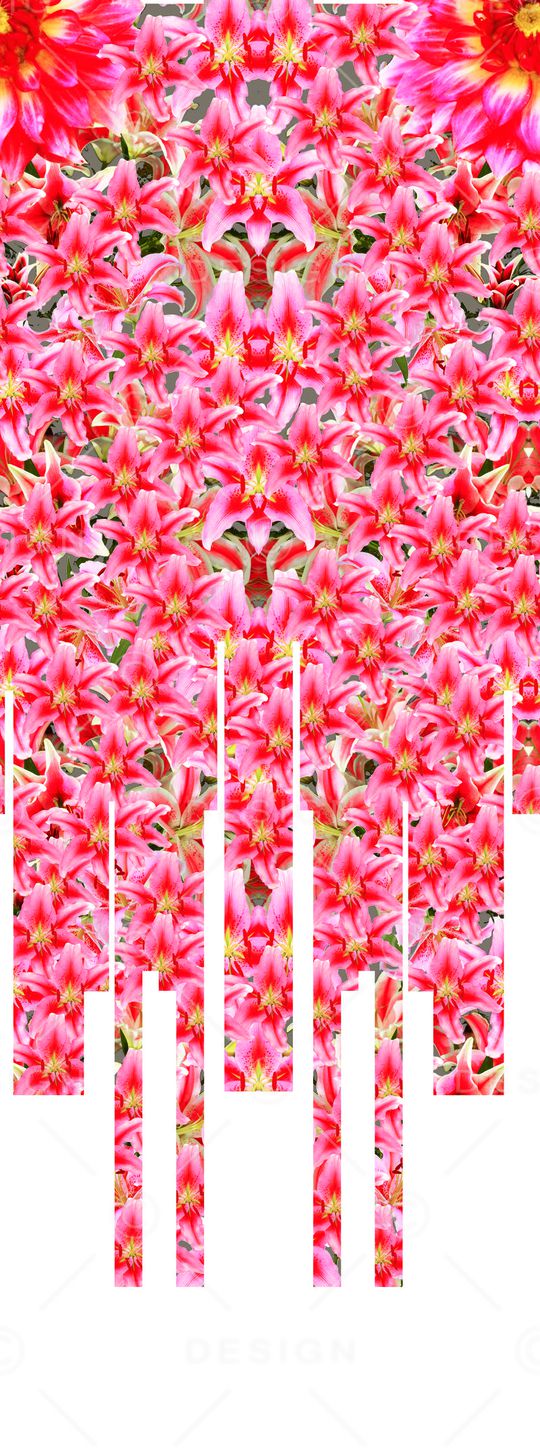 抽象百合花印花华亿平台图片