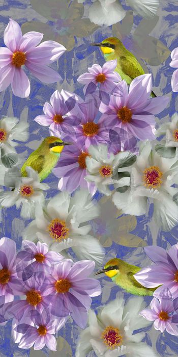 552009-花鸟风尚-潮流服饰-时尚华亿平台