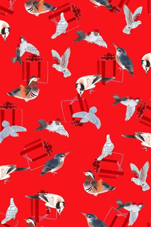 民族 工笔鸟 礼品盒印花华亿平台图片