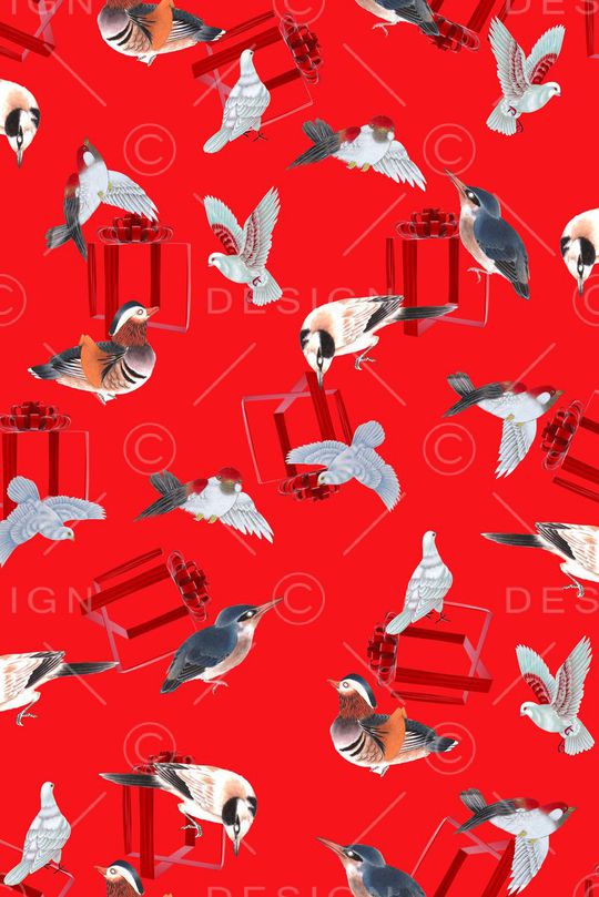 民族 工笔鸟 礼品盒印花华亿平台图片