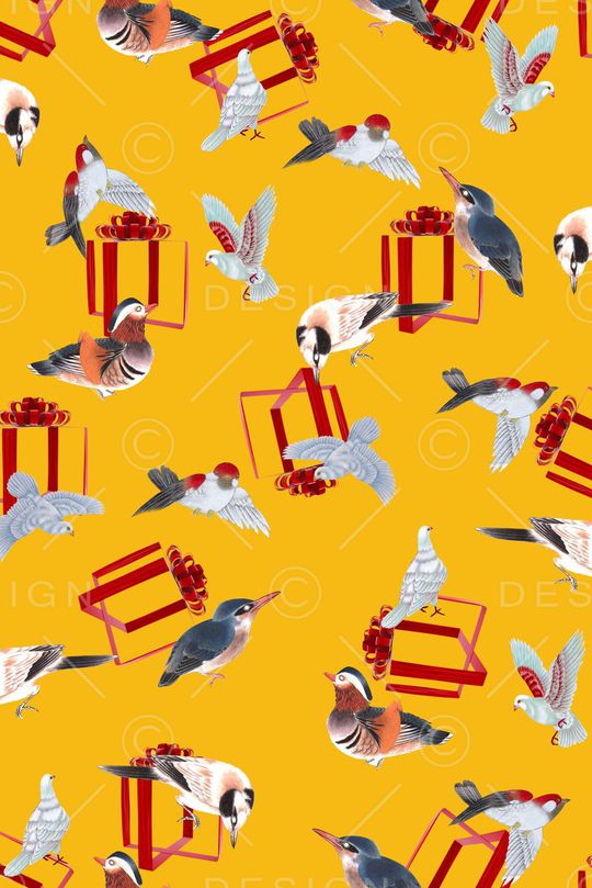 民族 工笔鸟 礼品盒印花华亿平台图片