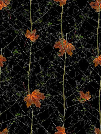 552089-抽象森林树叶男装图案