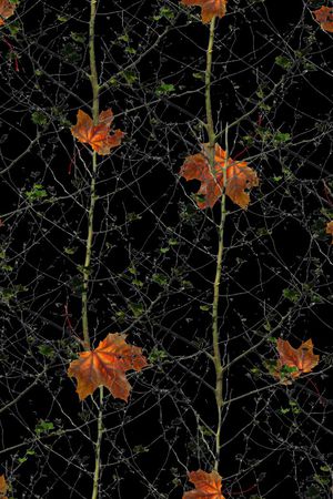 抽象男装图案印花华亿平台图片