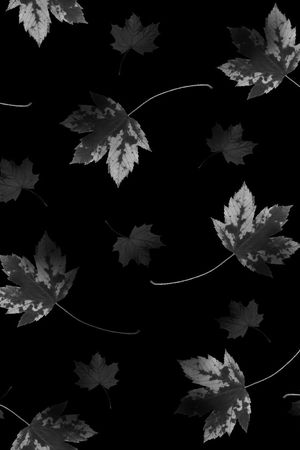 抽象男装图案印花华亿平台图片