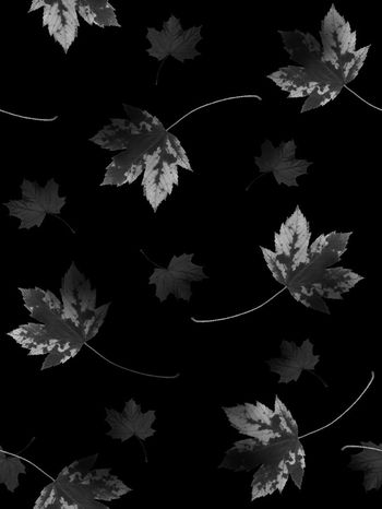 552095-抽象森林树叶纹理男装图案