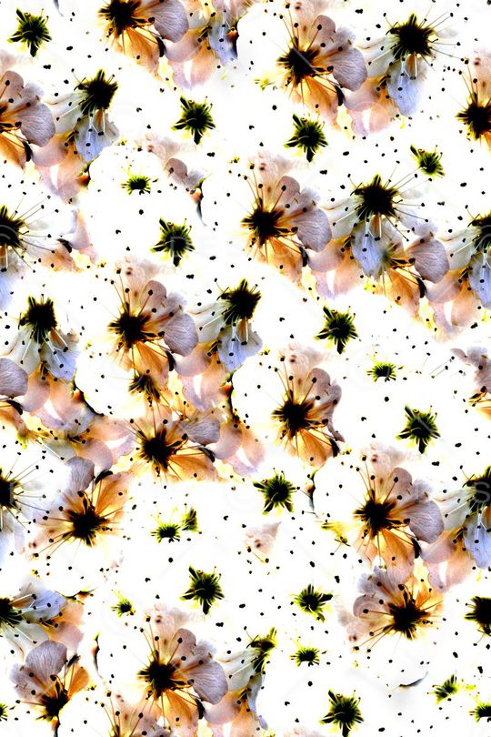 L.D~花卉印花华亿平台图片