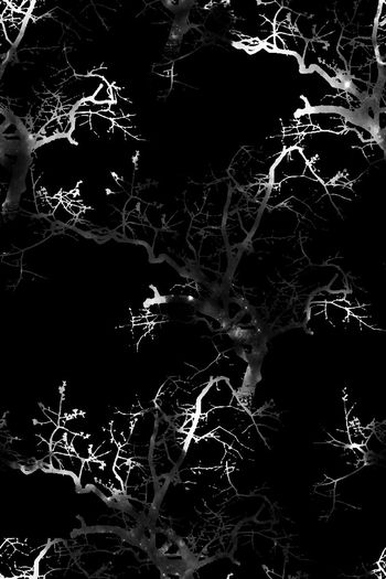 552164-抽象夜光森林纹理男装图案