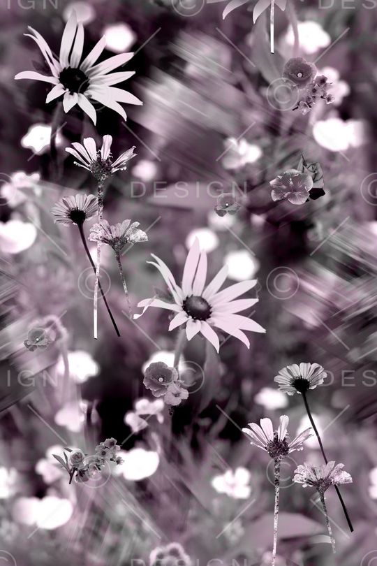 原创印花华亿平台图片