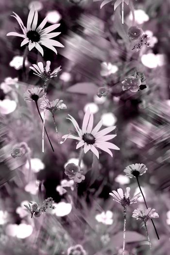 552168-原创景观风景花卉图案