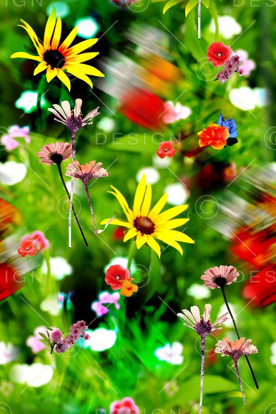 原创印花华亿平台图片