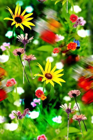 原创印花华亿平台图片