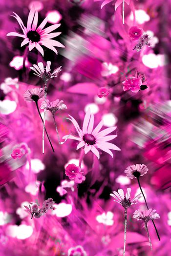 552170-原创景观风景花卉图案