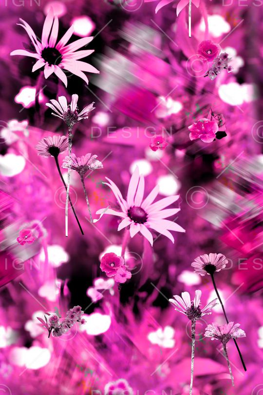 原创印花华亿平台图片