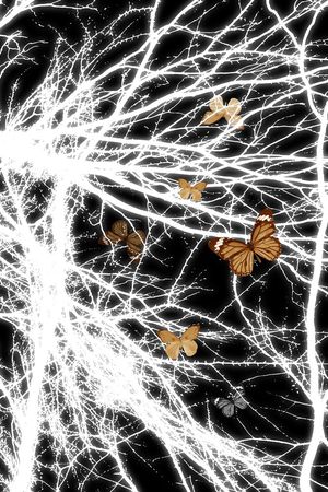 抽象男装图案印花华亿平台图片