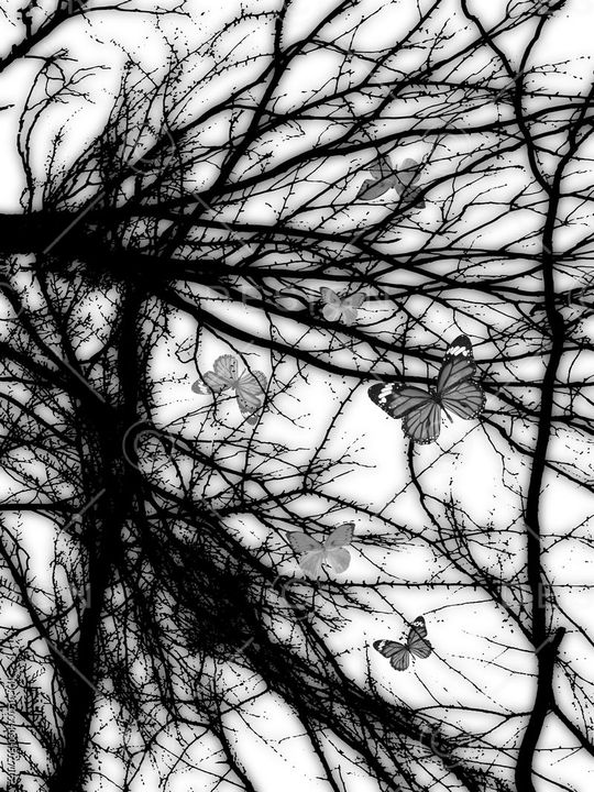 抽象男装图案印花华亿平台图片