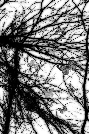 抽象男装图案印花华亿平台图片