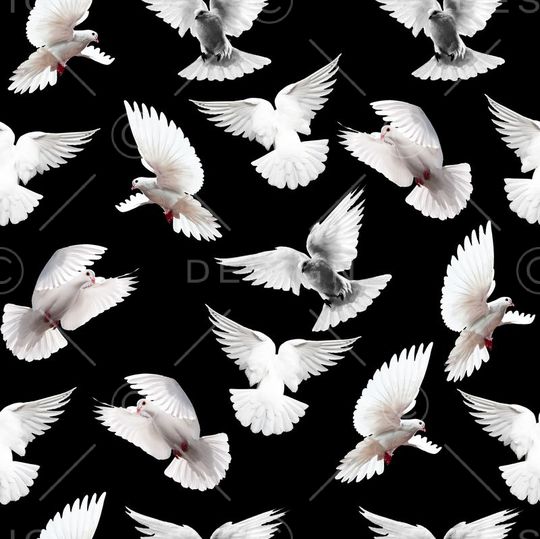 白鸽印花华亿平台图片