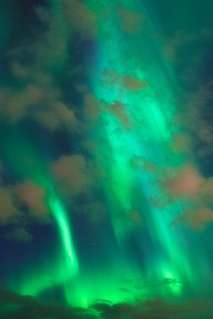 潮流时尚印花华亿平台图片